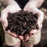Composting: An Essential Tool for Gardeners and Environmentalists