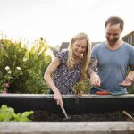 March Gardening Tips: Which Seeds to Plant and How to Make Them Thrive