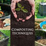 The Ultimate Guide to Composting: What to Put In and What to Avoid