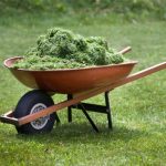 How to Use Grass Clippings for Your Vegetable Garden